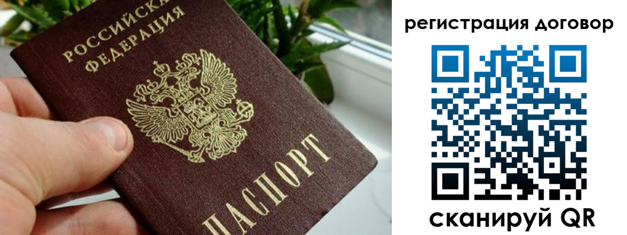 прописка ребенка в Александрове